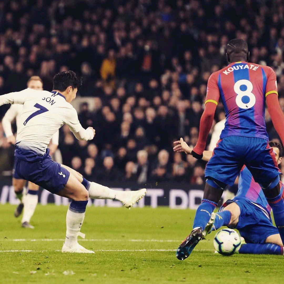 视频的合集 视频的合集